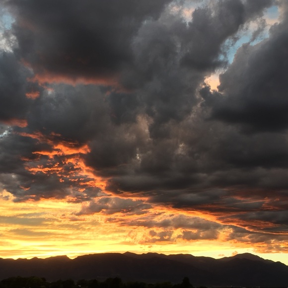 Meet your Posher, Laura - Picture 7 of 10